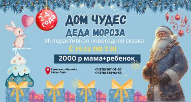 Дом чудес Деда Мороза (2-4 года)