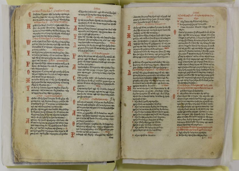 Фалкова Вера Владимировна Е. О. Белявцева