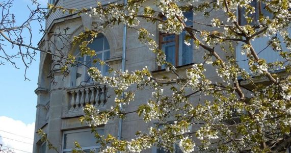 неизвестный https://po-krymu.ru/sevastopol-progulka-korabelnaja-storona.html