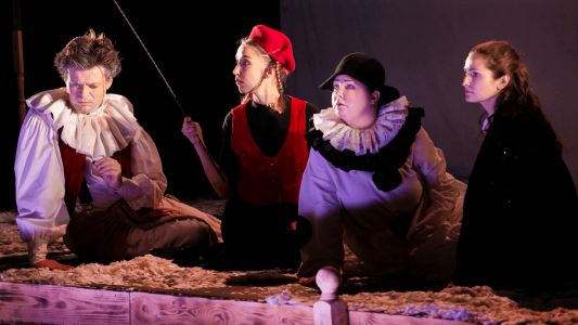 Юлия Высоцкая https://sevtyuz.ru/playbill/plays/show/kashtanka/