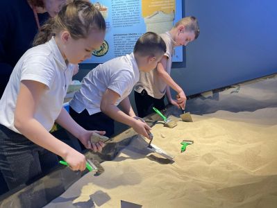 Семенова Алена Павловна https://www.chersonesos-sev.ru/