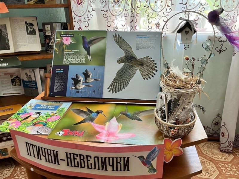 Данилова О.О. https://www.cbssev.ru