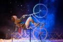 А. Садовникова https://sevtyuz.ru/playbill/plays/show/bah-bah-bah/