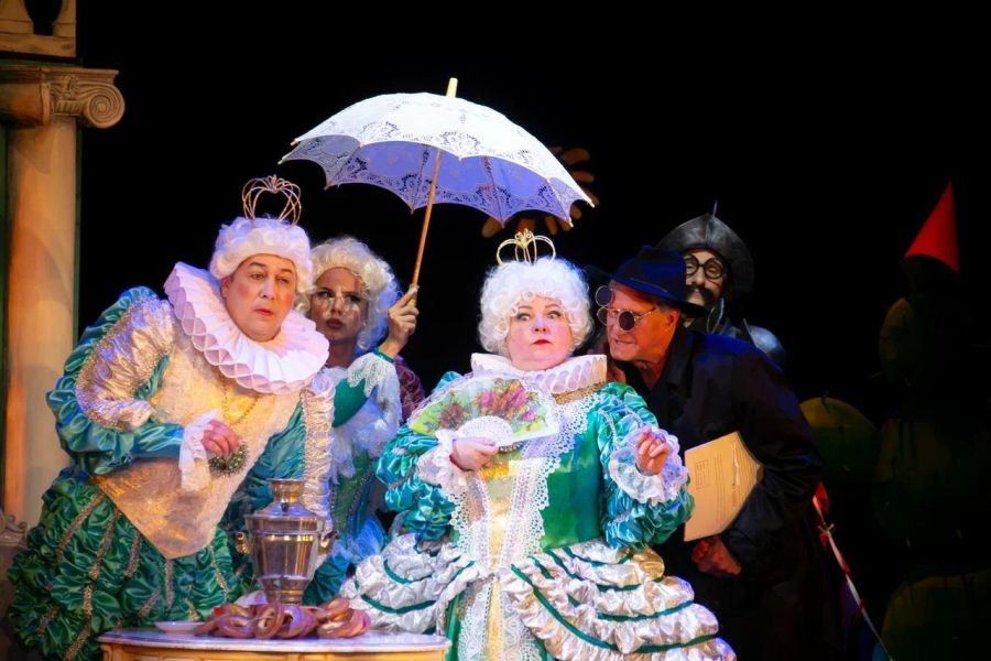 Анна Корнилова https://sevtyuz.ru/playbill/plays/show/perepoloh-v-korolevstve/